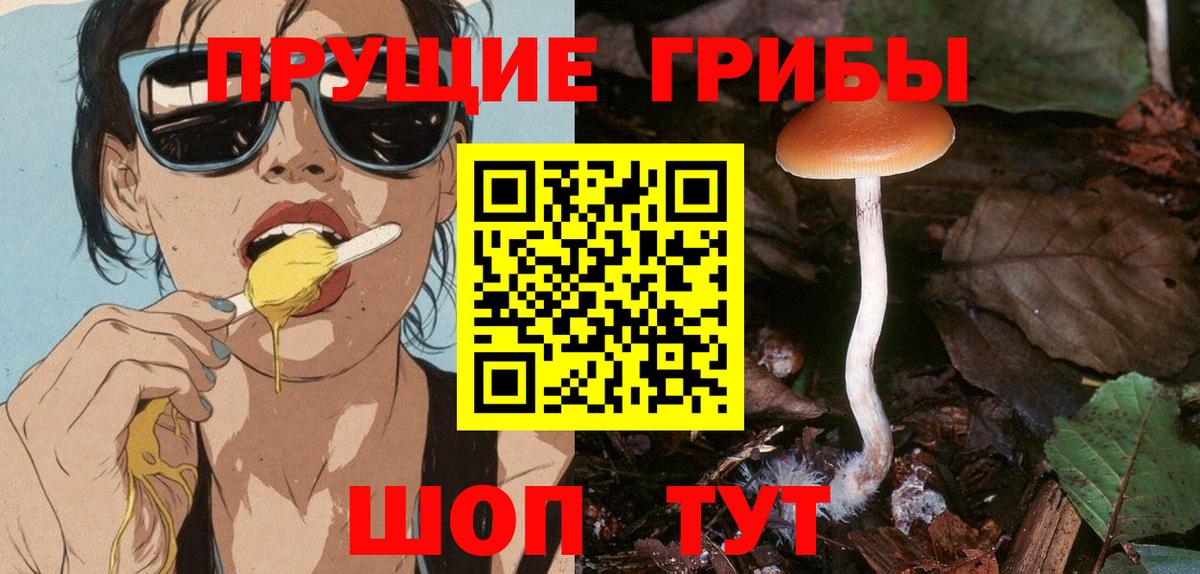 Псилоцибиновые грибы Magic Shrooms  Вход с VPN  Владикавказ  Псилоцибиновые грибы ЛСД 